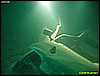 IMG_1735.JPG