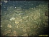 IMG_1747.JPG