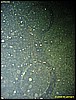 IMG_1751.JPG