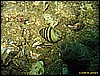 IMG_1765.JPG