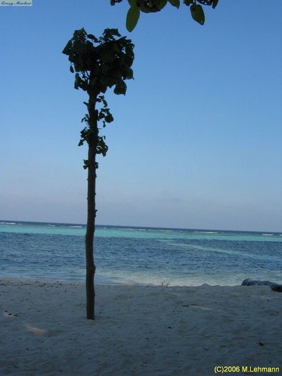 IMG_2310.JPG