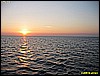 IMG_2208.JPG