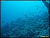 IMG_2216.JPG