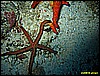 IMG_2219.JPG