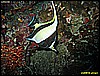 IMG_2222.JPG