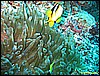 IMG_2245.JPG