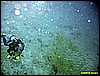 IMG_2247.JPG