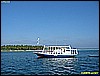 IMG_2253.JPG