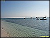 IMG_2259.JPG