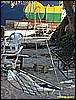 IMG_2270.JPG