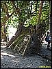 IMG_2272.JPG