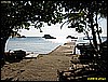 IMG_2275.JPG