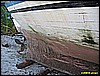 IMG_2280.JPG