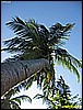IMG_2284.JPG