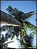IMG_2285.JPG