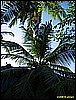 IMG_2286.JPG