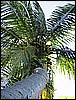 IMG_2287.JPG