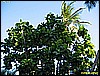 IMG_2289.JPG