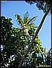 IMG_2290.JPG