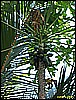 IMG_2291.JPG