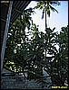 IMG_2294.JPG
