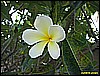 IMG_2295.JPG