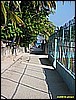 IMG_2298.JPG
