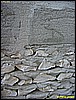 IMG_2299.JPG