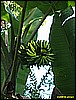 IMG_2300.JPG