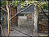 IMG_2301.JPG