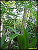 IMG_2303.JPG