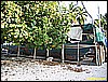 IMG_2308.JPG