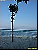 IMG_2310.JPG
