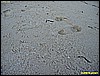 IMG_2312.JPG
