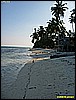 IMG_2313.JPG