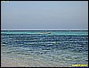 IMG_2315.JPG