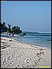 IMG_2316.JPG