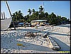 IMG_2317.JPG