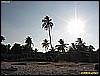 IMG_2319.JPG