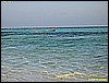 IMG_2320.JPG