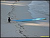 IMG_2323.JPG