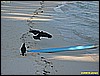 IMG_2324.JPG