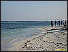 IMG_2325.JPG