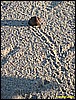 IMG_2326.JPG