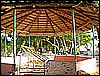 IMG_2340.JPG
