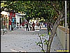 IMG_2341.JPG