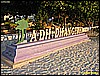 IMG_2342.JPG