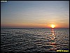 IMG_2354.JPG