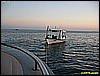 IMG_2356.JPG