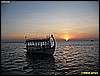 IMG_2362.JPG